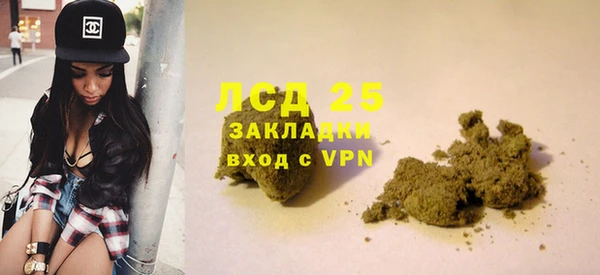 прущие грибы Балахна