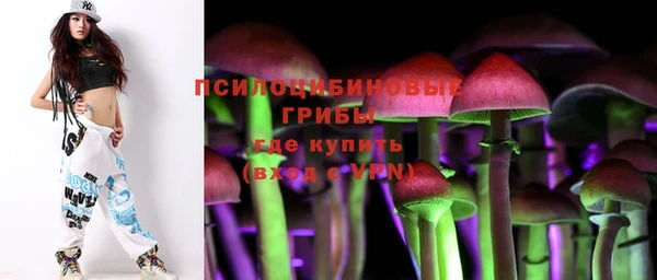 PSILOCYBIN Беломорск