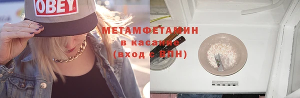 прущие грибы Балахна