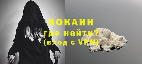 прущие грибы Балахна