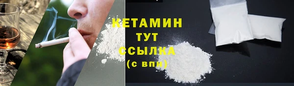 прущие грибы Балахна