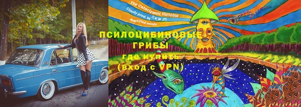 PSILOCYBIN Беломорск