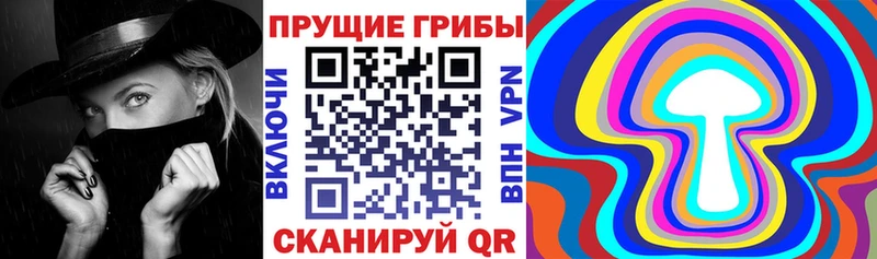 Псилоцибиновые грибы Psilocybine cubensis  Бутурлиновка 